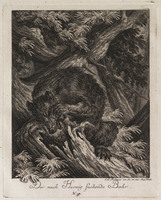 KG 01075
          <br/>
          Entwurf einiger Thiere. Dritter Theil. (18 bladen)
          <br/>
          <em>Ridinger, Johann Elias (1698-1767)</em>
